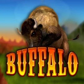 Buffalo Bingo logo by MGA Games at Buitenlands CasinoBuffalo Bingo
